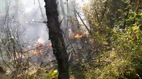 Riaktivizohet zjarri në Krujë, dyshohet se është vënë qëllimisht