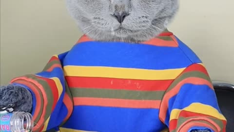 Oscar: A Good Cat Won't Waste Food!!😼👍| Funny Cat TikTok Challenge #funnycat #catsoftiktok #shorts