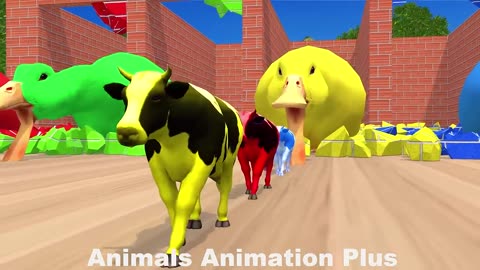 4 Giant Duck Cartoon,Tiger,Cow,rabbit,Gorilla,Hamsters,Dog,Cat Wild Animals Crossing Fountain 2023