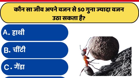 GK IN HINDI || GK QUIZ VIDEO || GENERAL KNOWLEDGE ||GK QUESTION 2024 || ANIMAL GK QUESTIONS