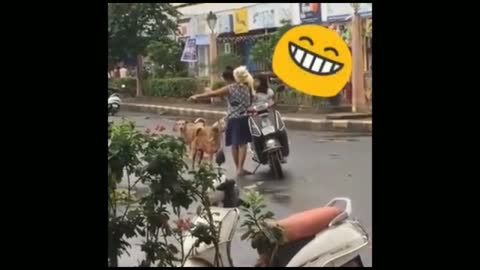 Dog driving a bike funny video