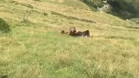 Funny lady lay in the hill.