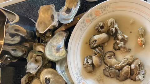 Oyster Chowder