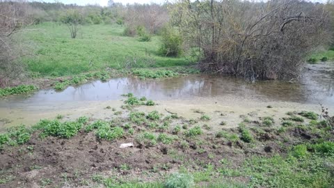 Село Севериновка Устье Куяльника, родник из под ракушника бьет