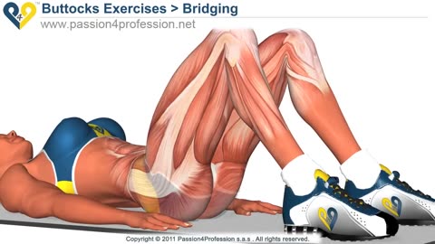 BEST Tone Buttocks exercise - Reduce buttocks and thighs with Bridging exercise