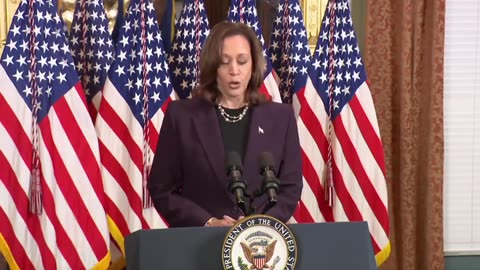 Kamala Harris press conference post Netanyahu meeting. I don't think the left will like this!