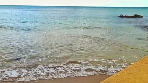 Beaches Of Orihuela Costa, Torrevieja & La Mata