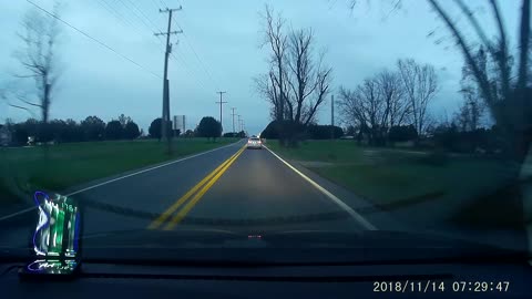 Deer Attempts to Jump over Moving Car