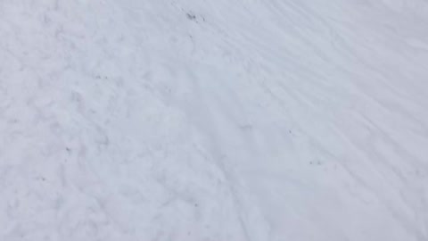 Children sledding