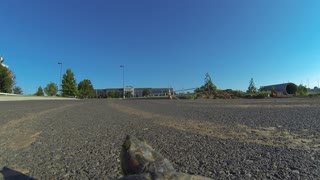 GoPro strapped to the top of a turtle