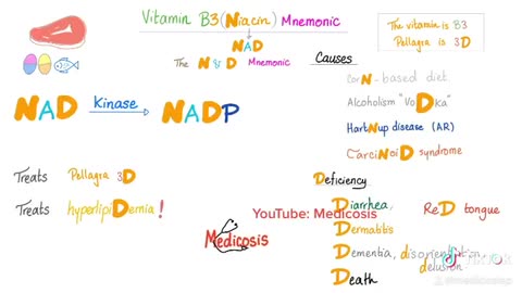 Niacin (Vitamin B3) Deficiency