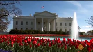 Stacey Abrams Declares Presidential Ambitions