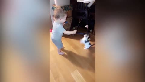 Cats and babies are playing together