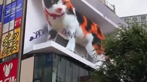 Cute 3D Billboard of cute cats in Tokyo Japan