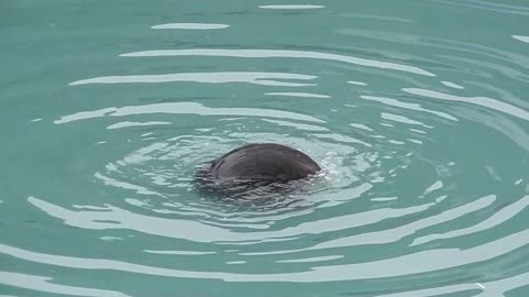 Kenai Fjords National Park - Alaska