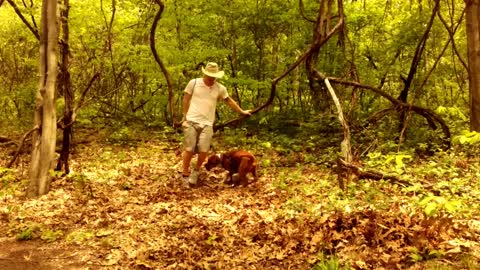 Man and dog come across a vine swing. What they do next—it’s adorable