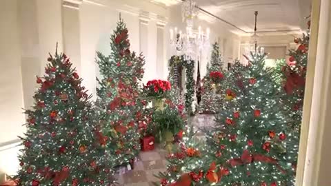 A White House Christmas !