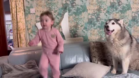 Sassy Baby RIPS Wallpaper Off Wall & Tries To Blame Her Husky!😂. [FUNNIEST VIDEO EVER!!]