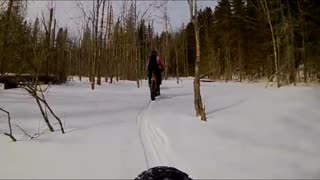 Fat biking on a frozen floodplain.