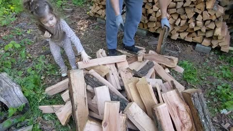 Helpful little girl hands her dad split wood