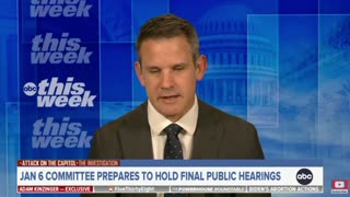 Adam Kinzinger claims that "In about 10 years there's not going to be a single Trump supporter in the country."