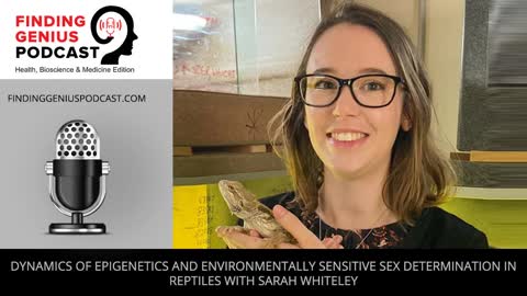 Dynamics of Epigenetics and Environmentally Sensitive Sex Determination in Reptiles