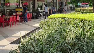 Top floor garden in ayala mall