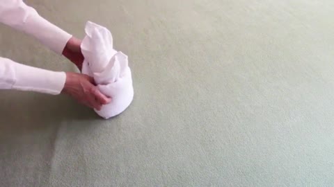Towel Swan Folding | Towel Animal |