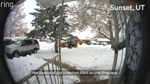 (Must Watch) Little Girl Crosses Paths With A Bobcat Dad Forgets Dog Outside Neighborhood Stories