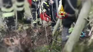 Dog Becomes Overwhelmed With Excitement As Firefighter Saves It From The Bottom Of A Well