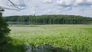 Grebe Lake