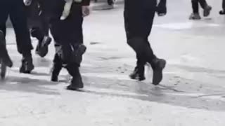 Corgis Make Awesome Police Dogs