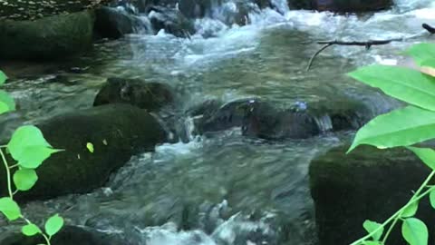 Widows Creek, Stone Mountain, NC state park