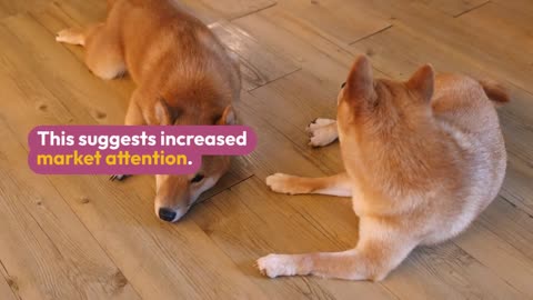 Shiba Inu (SHIB) Gains Attention, But Price Faces Challenges