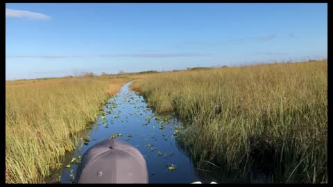 Everglades Trip To The Camp