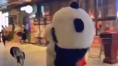 Panda is chasing me!