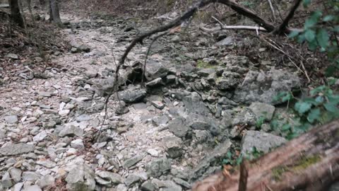 Have you ever seen a dry waterfall? Hike to 2 waterfalls in Austin Texas