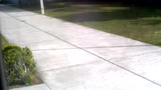 Broward Deputy Scot Peterson stands outside during Parkland shooting