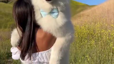 Five years of carrying this pup in fun places! cute animal funny videos