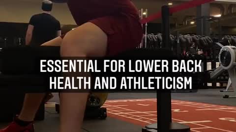 2022 BEST REMEDY FOR LOWER BACK HEALTH AND ATHLETICISM!