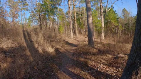 Iron Mountain Mt Bike Park, DeGray Lake, AR