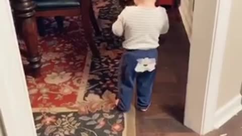 Baby Trying To Give The Dog Water
