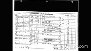 Epsteins Flight log & Black Book & Bidens Daughter Diary