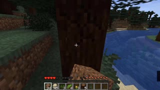 minecrafttiktokhacks_minecrafthacks_minecrafttiktok_shortsminecraft_1 (46)