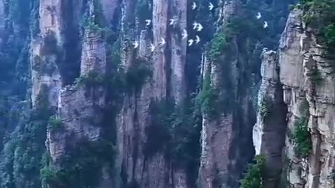 Watch this really impressive natural scenes. you really impressed after watching this short.