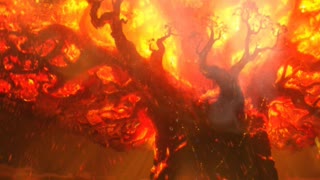 GREAT TREE TORCHED BY RAIDERS