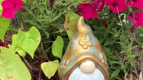 Birds Heralding The Day With Gnome #47