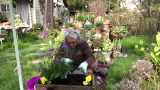 Celebrating National FlowerDay by Planting a Spring inspired Flower Box