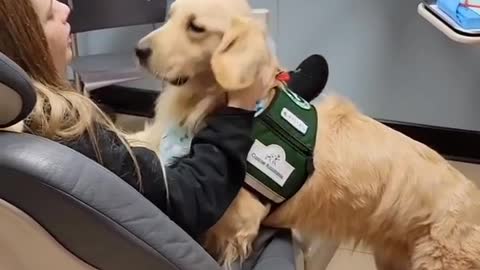 Dentist brings her golden to support patients
