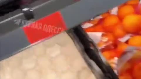 A Ukrainian “refugee” hates life in Germany and destroys food in a German supermarket